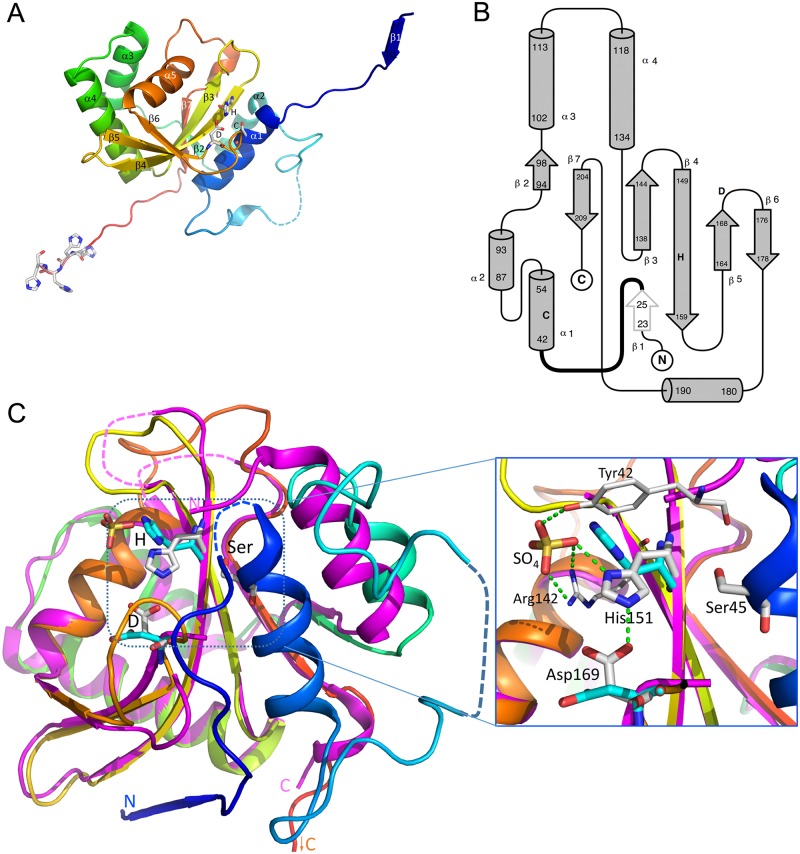 Fig 2