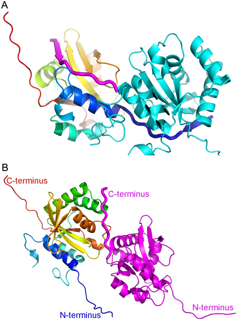 Fig 3