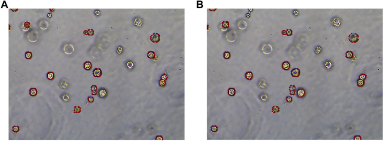 FIGURE 13