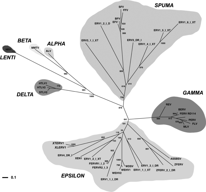 FIG. 4.