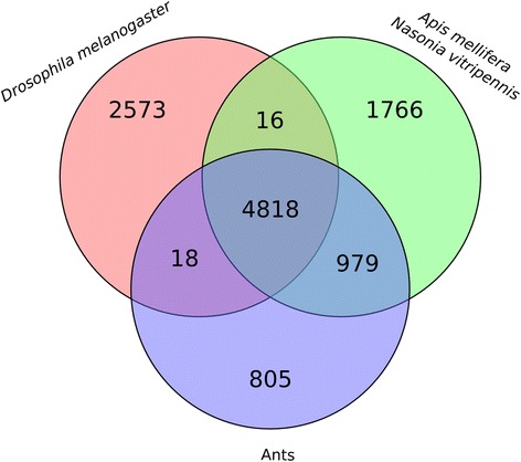 Fig. 10