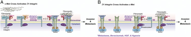 Fig. 9.