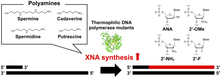 graphic file with name d4cb00017j-ga.jpg