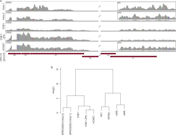 FIG 3