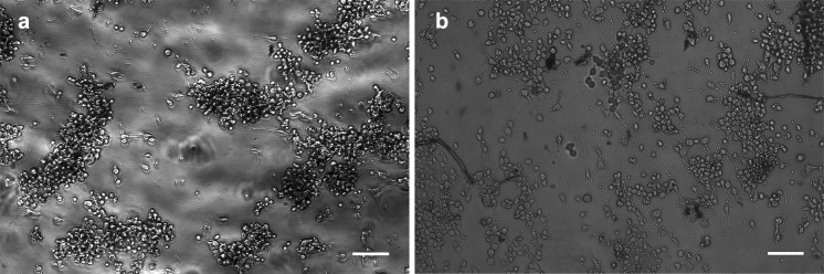 Fig. 7