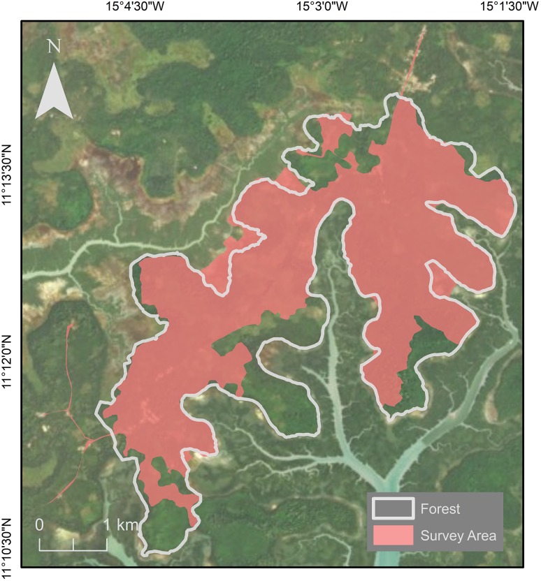 Fig. 2