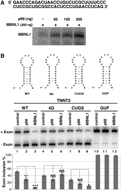 Figure 7.