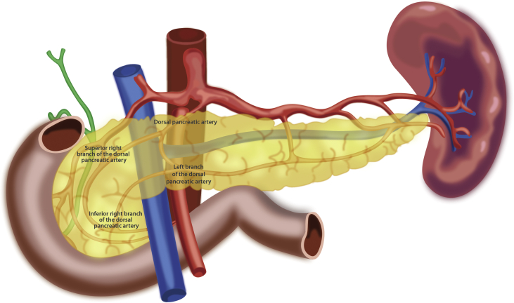 Figure 3