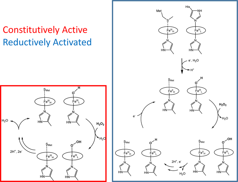 Scheme 2.