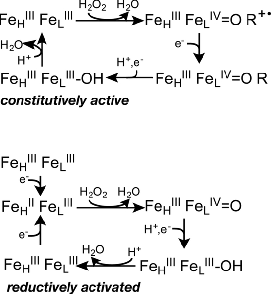 Scheme 1.