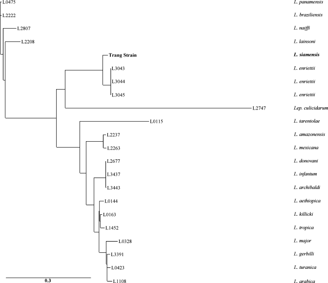 Figure 2.