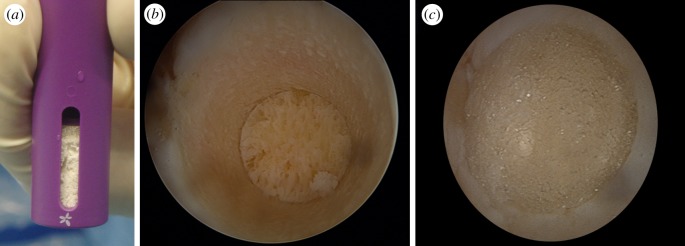 Figure 7.