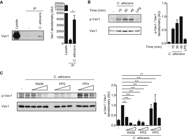 Figure 1