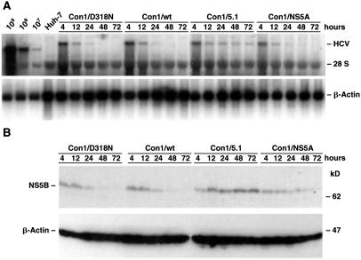 Fig 1.