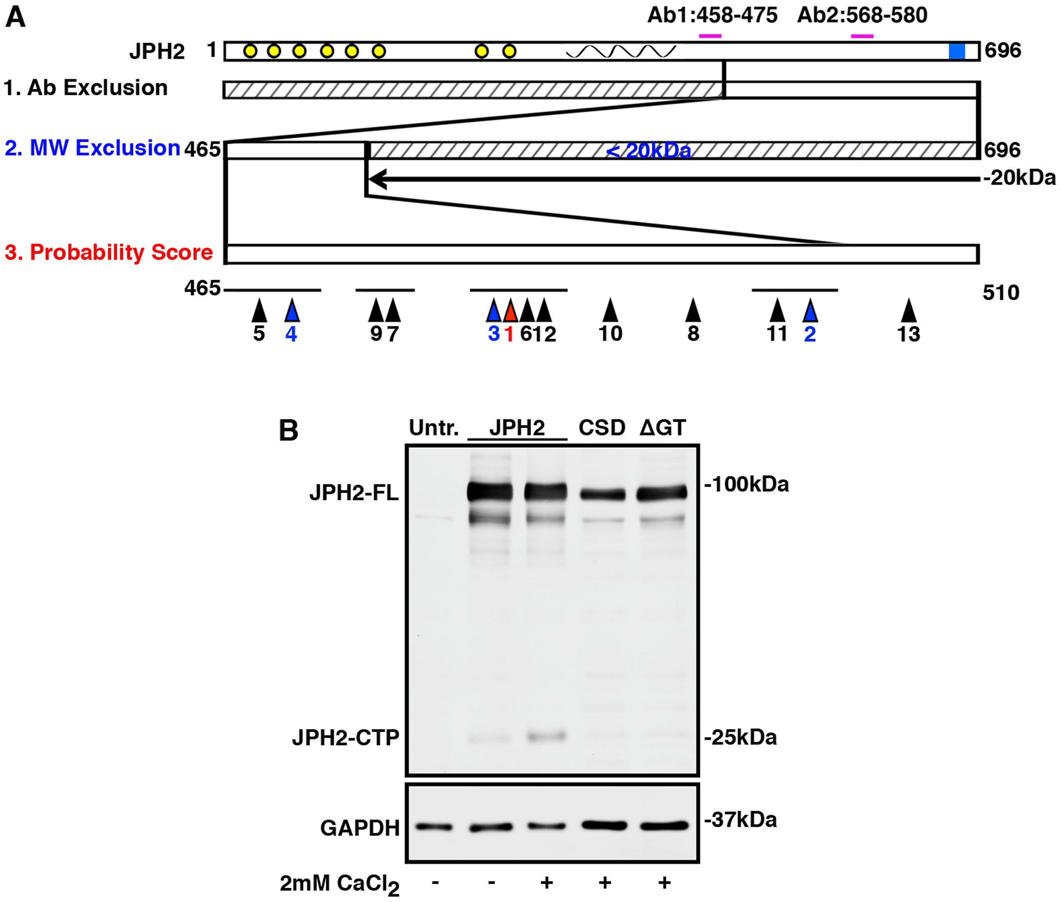 Fig. 2