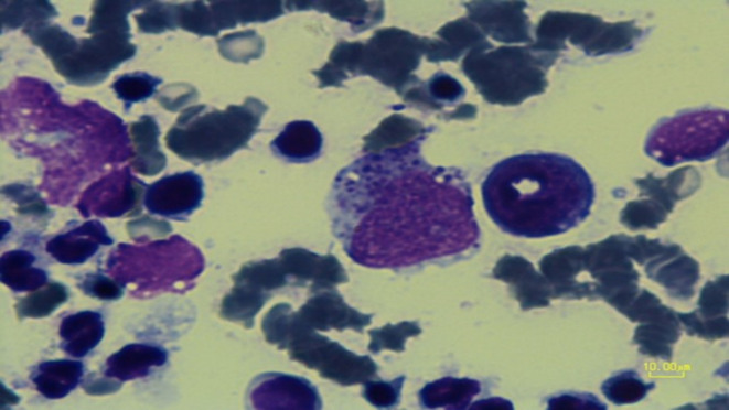Fig. 3