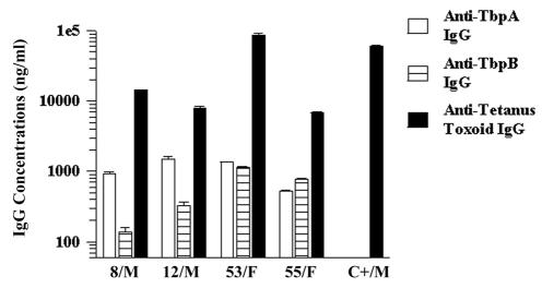 FIG. 4.