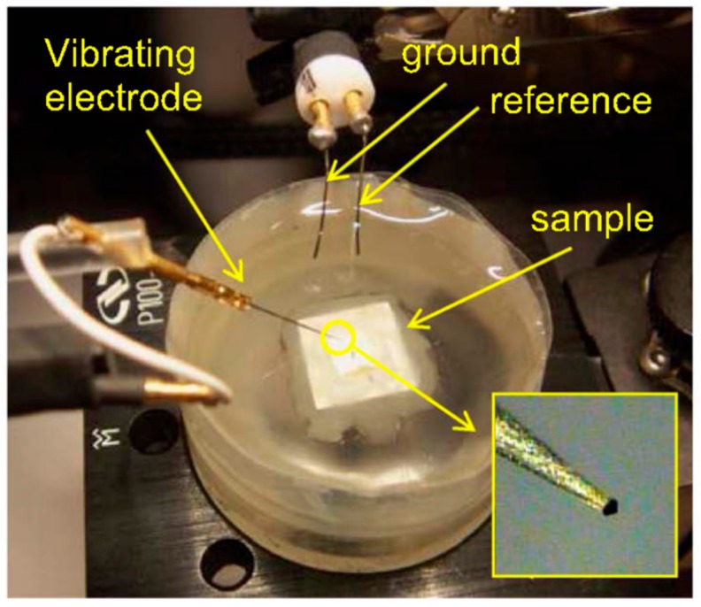 Figure 12