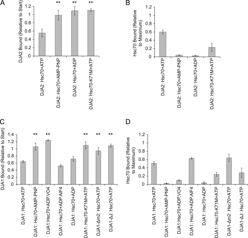 FIGURE 11.