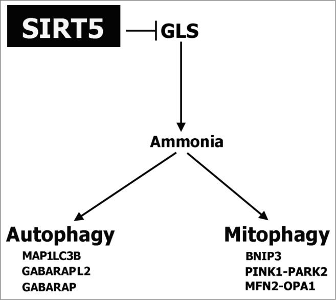 Figure 10.