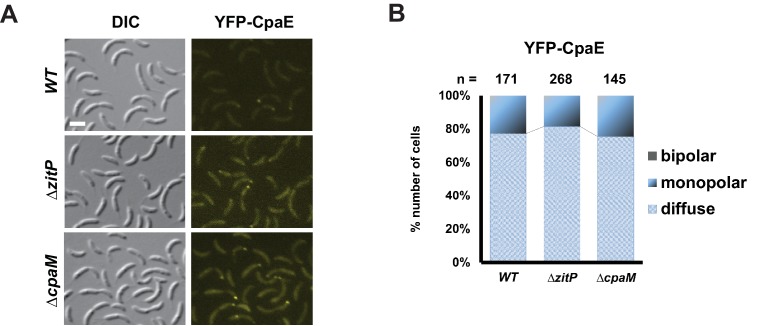 Figure 3—figure supplement 4.