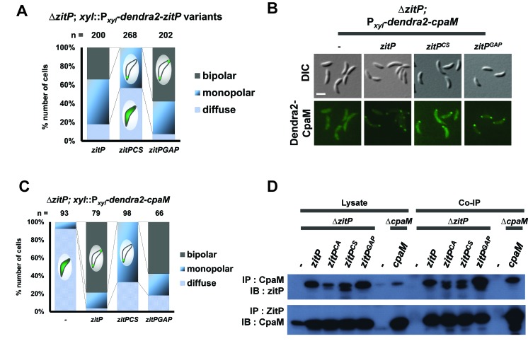 Figure 3—figure supplement 7.