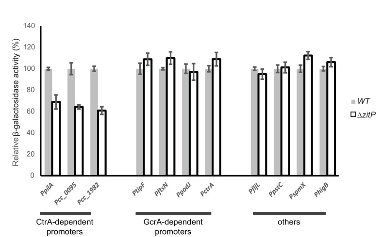 Figure 2—figure supplement 1.