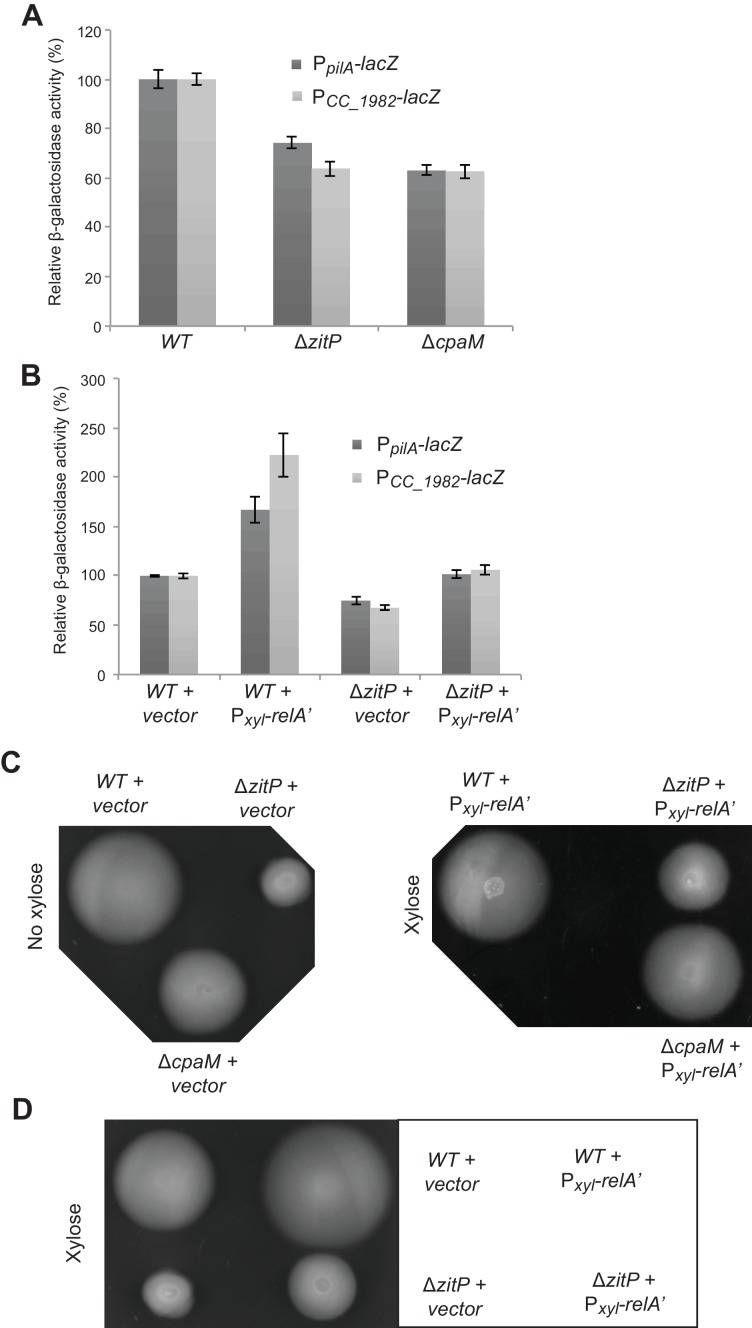 Figure 2—figure supplement 2.