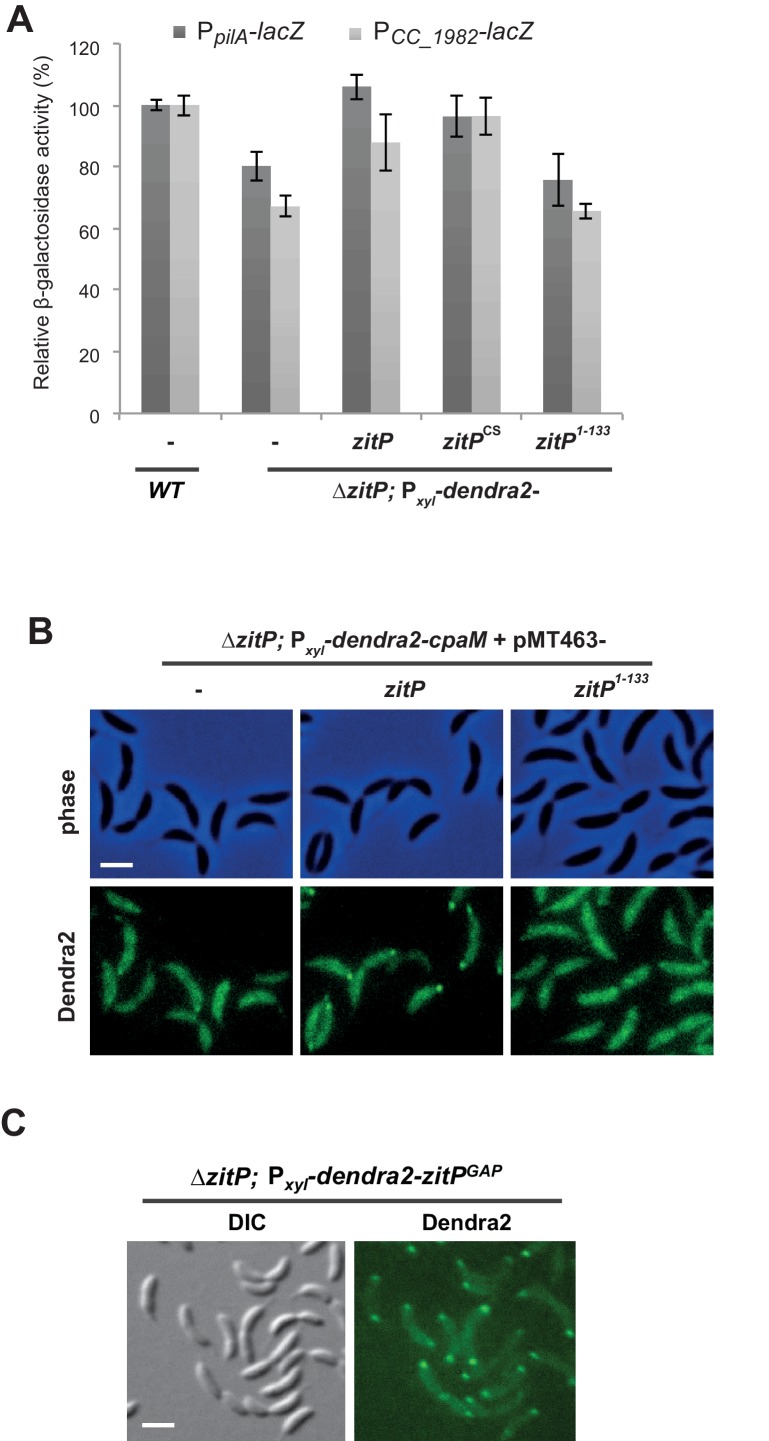 Figure 3—figure supplement 8.