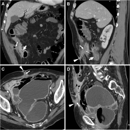 Fig. 8