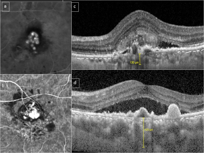 Fig. 4