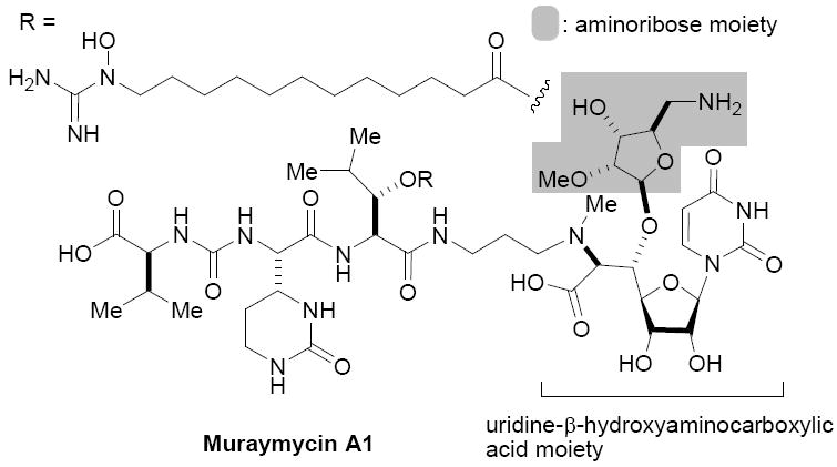 FIGURE 1