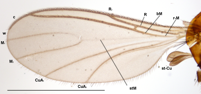 Figure 2f.