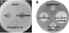 FIG. 5.