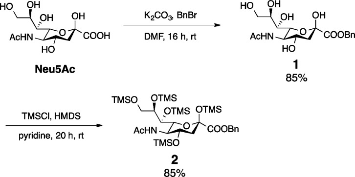 Scheme 1