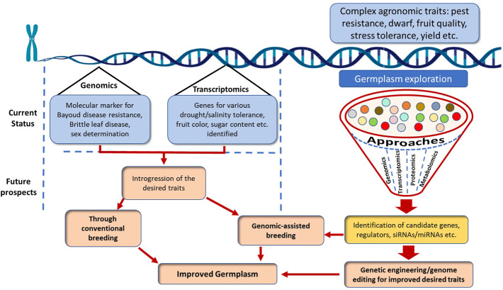 FIGURE 3