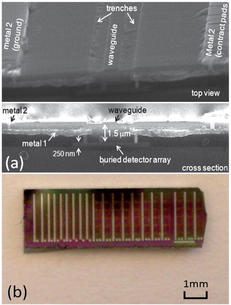 Fig. 3