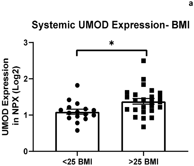 Figure 2a: