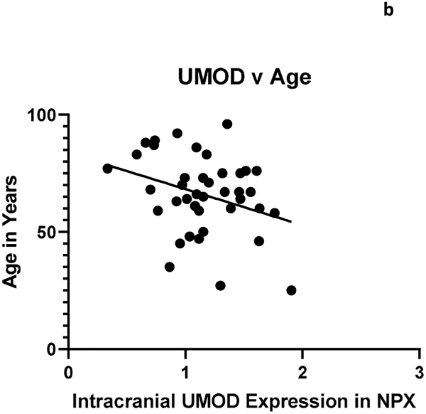 Figure 1b: