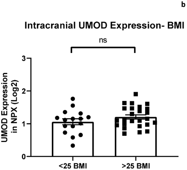 Figure 2b: