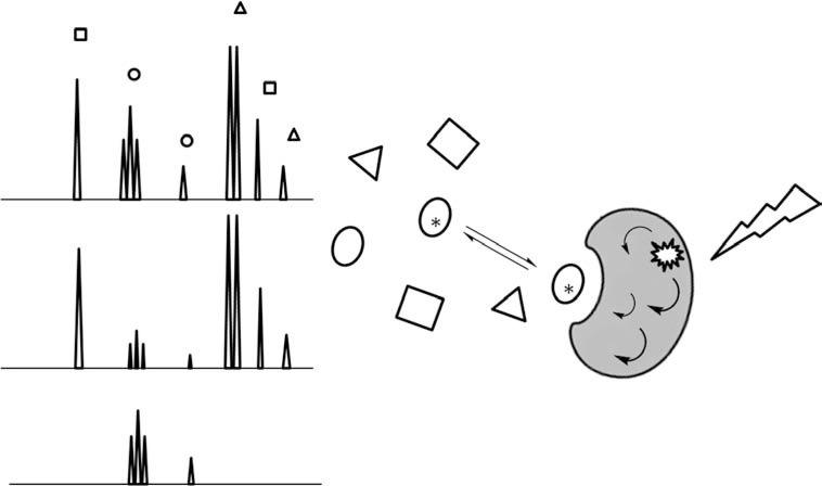 Fig. (3)