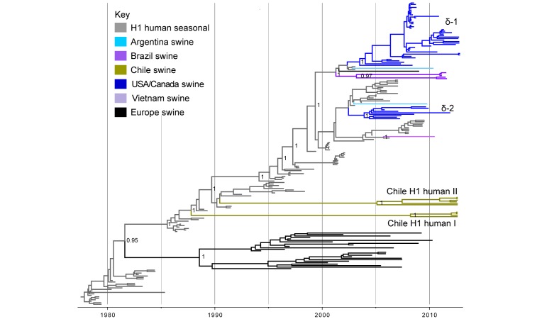 Time-scaled Bayesian MCC tree inferred for the HA (H1) sequences of 204 viruses, including 10 viruses sequenced for this study from swine in Chile, 108 human seasonal H1 viruses collected globally during 1978 – 2009, and 86 closely related IAV-S collected globally. Branches of human seasonal H1 influenza virus origin are shaded grey, and branches associated with viruses from swine are shaded by country of origin, similar to Figs. 1 and 2. Posterior probabilities > 0.8 are included for key nodes. The North American H1δ1 and H1δ2 lineages are labeled, as well as the clades of Chilean viruses (‘Chile H1 human I’ and ‘Chile H1 human II’, Table 2). The tMRCAs representing the estimated timing of viral introduction into Chile are provided in parentheses. A similar phylogeny inferred using ML methods with tip labels displayed is available in Fig. S4.