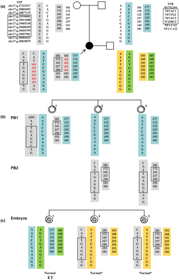 FIGURE 2