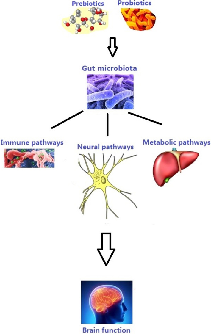 FIGURE 3