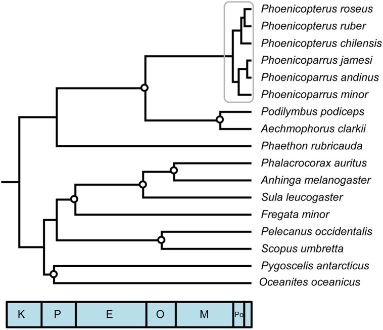 FIGURE 1