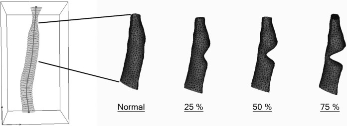 Figure 3.