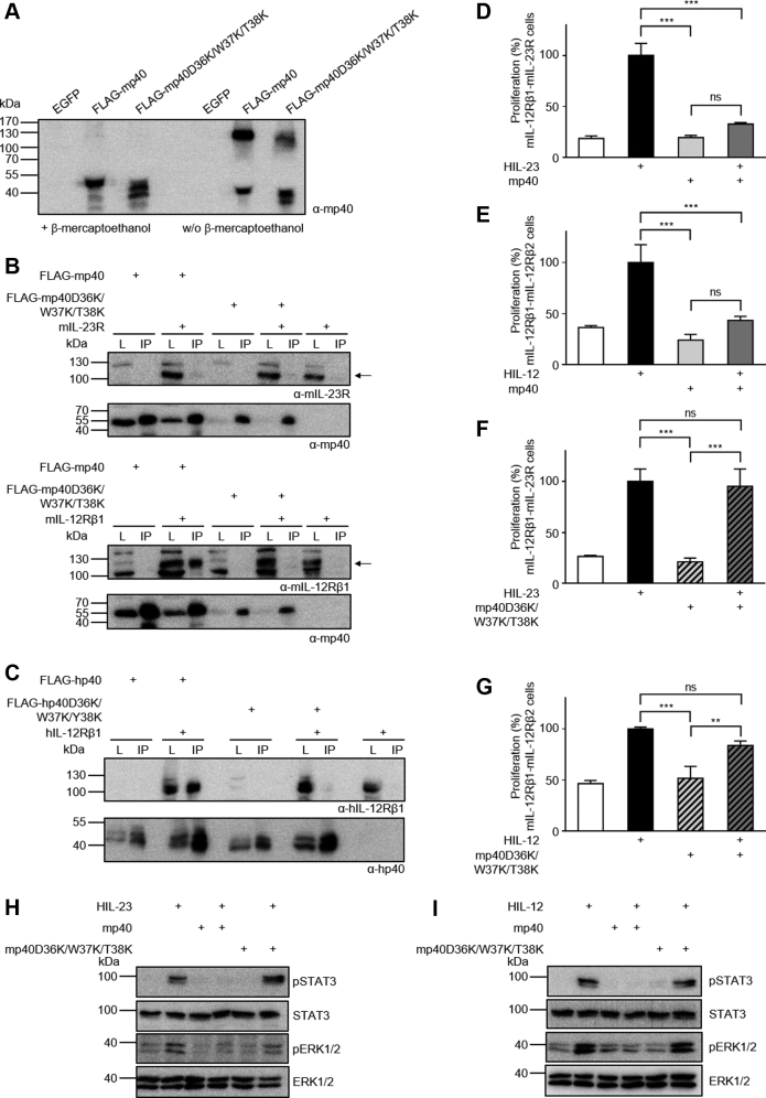 Figure 6