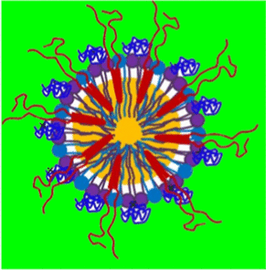 graphic file with name 12951_2024_2882_Figg_HTML.gif