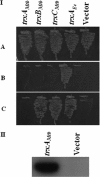 FIG. 6.