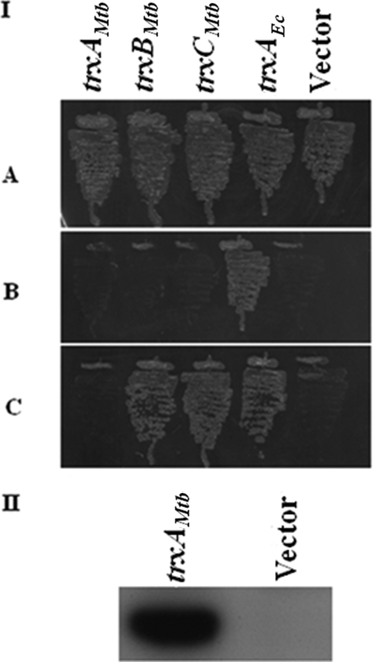 FIG. 6.